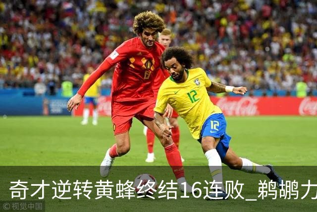 奇才逆转黄蜂终结16连败 鹈鹕力克76人3连胜